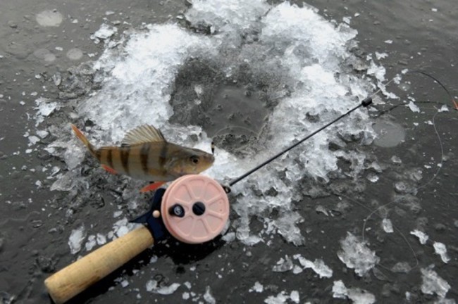 Микашевичская межрайонная инспекция охраны животного и растительного мира напоминает о правилах зимней рыбалки